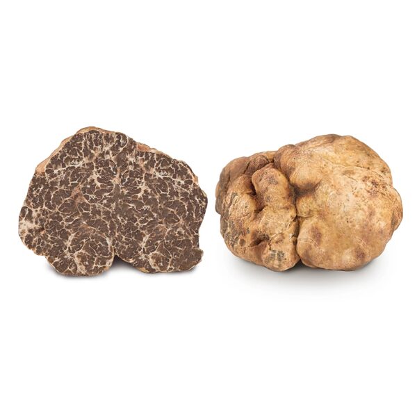 Fresh white truffle (Tuber magnatum Pico) 100g